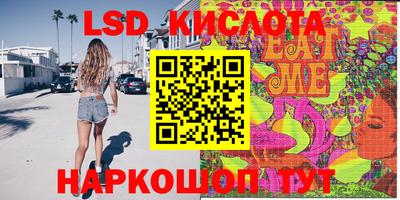 spice Гатчина