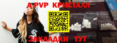 spice Гатчина