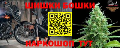 spice Гатчина