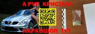 spice Гатчина