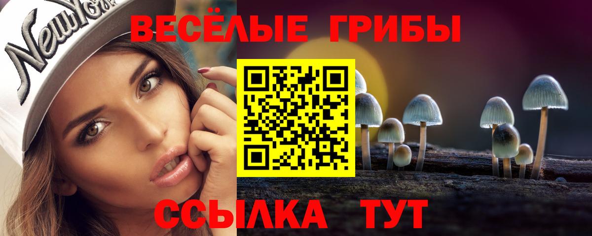 Галлюциногенные грибы Psilocybine cubensis Орехово-Зуево